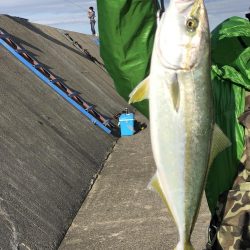 初青物ゲット！